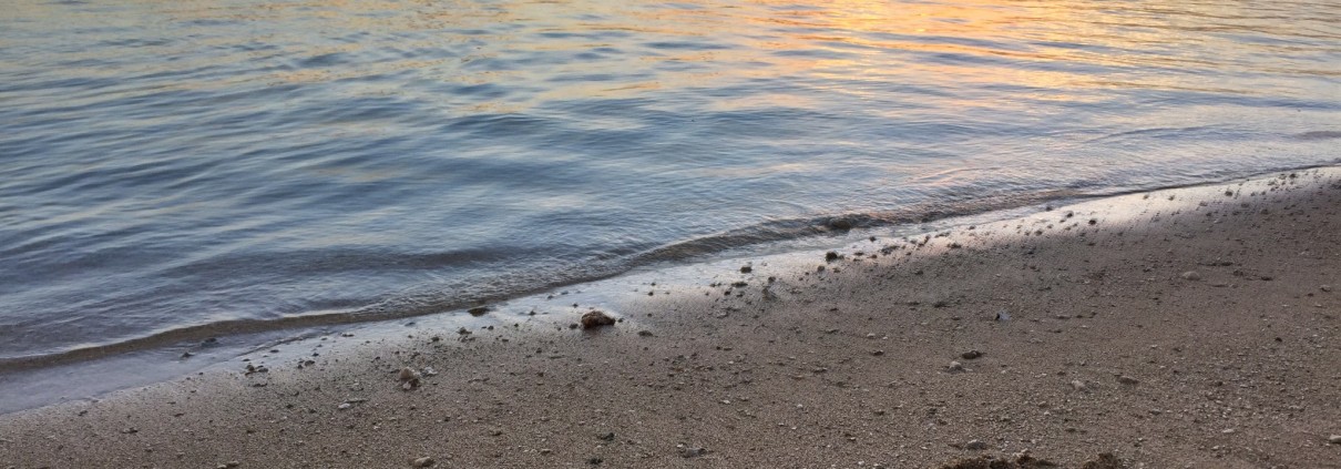 Happy New Year 2015 Hawaii