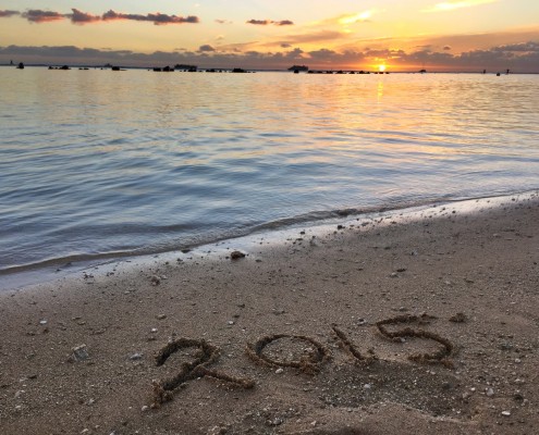 Happy New Year 2015 Hawaii