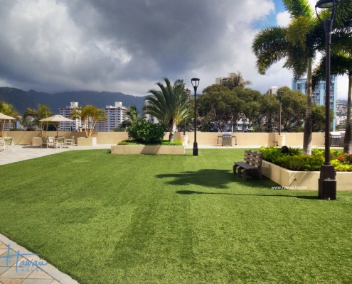 Iolani Court Plaza condo amenities