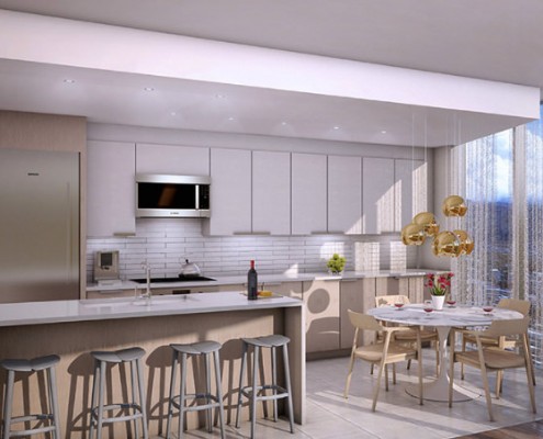 Aeo kitchen - Honolulu condo