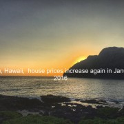 Hawaii House statistics 01-2016