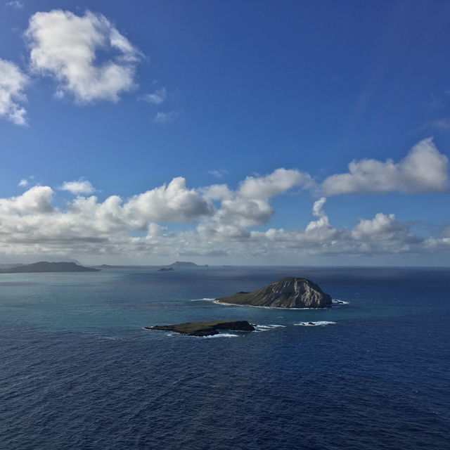 Hawaii vacation homes for sale with Caretaker's cottages Hawaii House