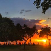 Honolulu condo and Home sales surge higher