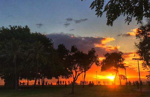 Honolulu condo and Home sales surge higher