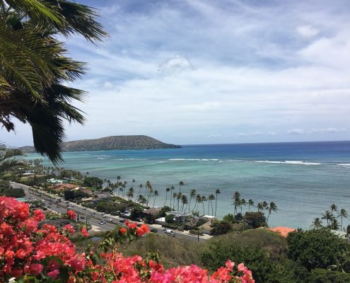 Hawaii Loa Ridge has the highest home sale