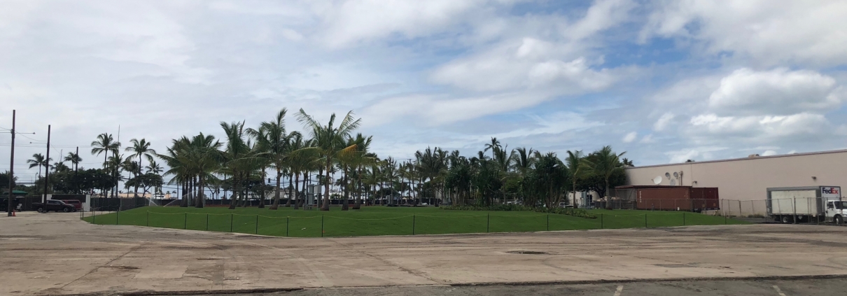A'ali'i condo groundbreaking - View Central Plaza