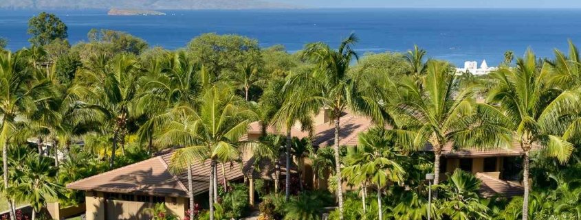 4340 Melianani Pl Wailea/Makena | Maui