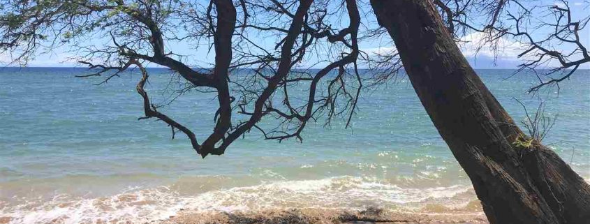 1464 & 1454 Halama St., Kihei | Maui