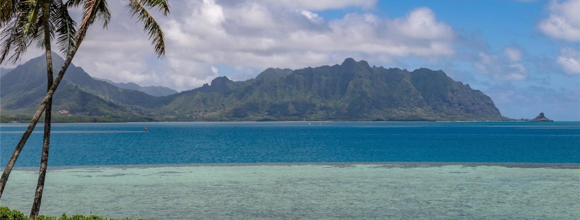 47-083 Kamehameha Hwy, Kaneohe | Oahu