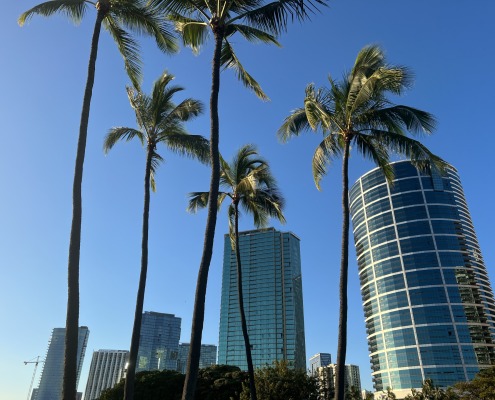 off market luxury homes in Hawaii