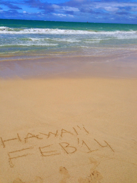 Oahu real estate statistics Feb '14
